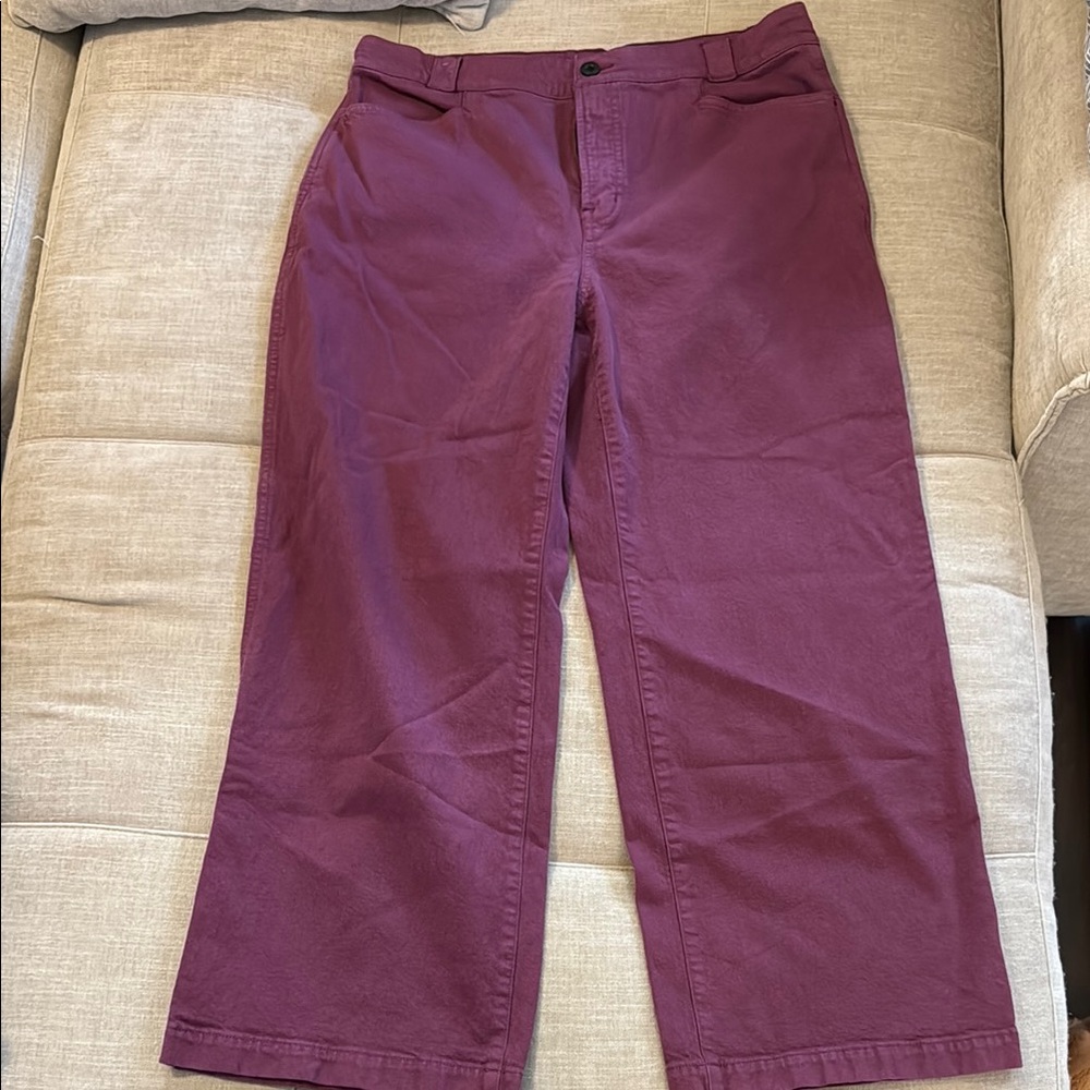 Madewell Emmett wide leg purple pants in size 31 P